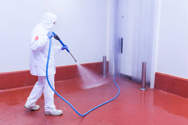 Professional Pressure Washing in Medford, NY